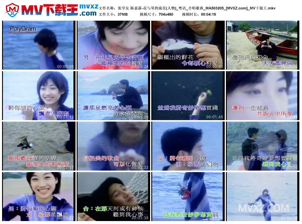 张学友 陈嘉露-花与琴的流星(人物)_粤语_合唱歌曲_MA503205